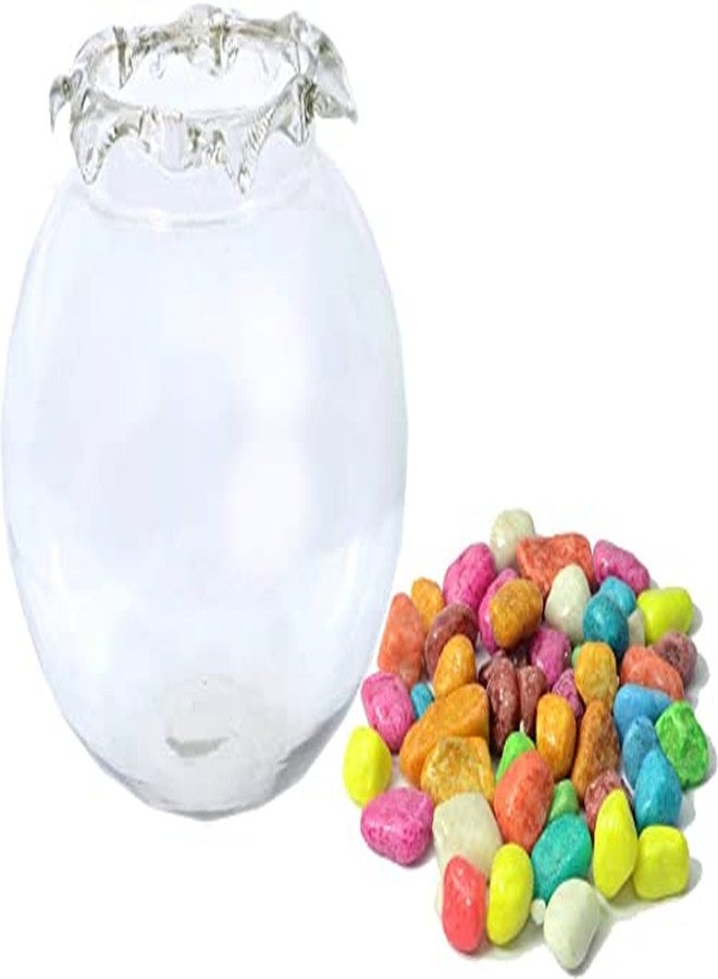 Afast Home Room Decorative Clear Fish Pot/Bowl with Colorful Stone, Glass -A1 - Image 2